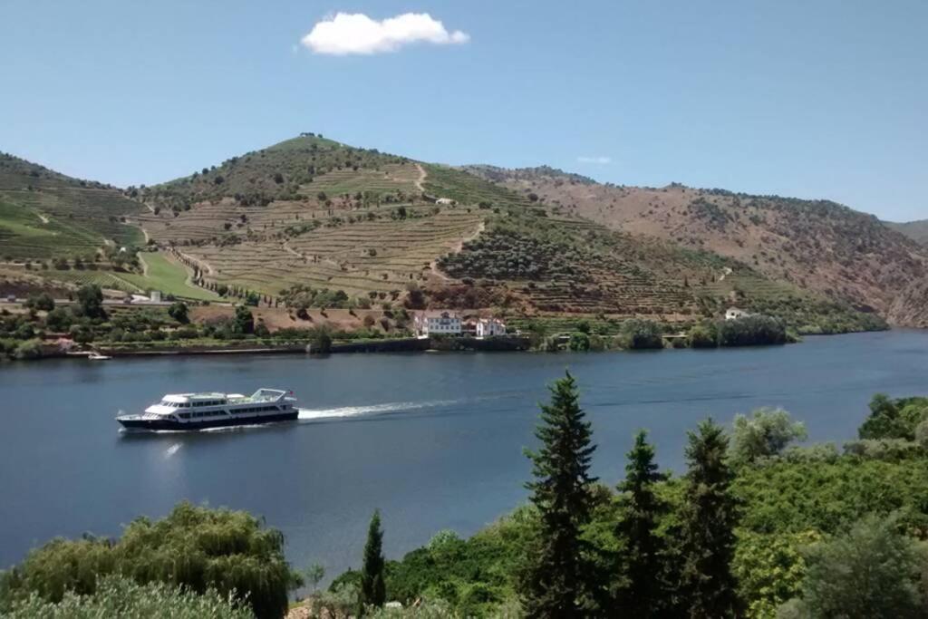 Casa Dos Vinhais - Douro Valley Coleja Bagian luar foto